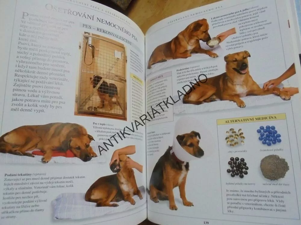 JÁ PES, VELKÁ KNIHA PÉČE O PSA, KYNOLOGIE, **an