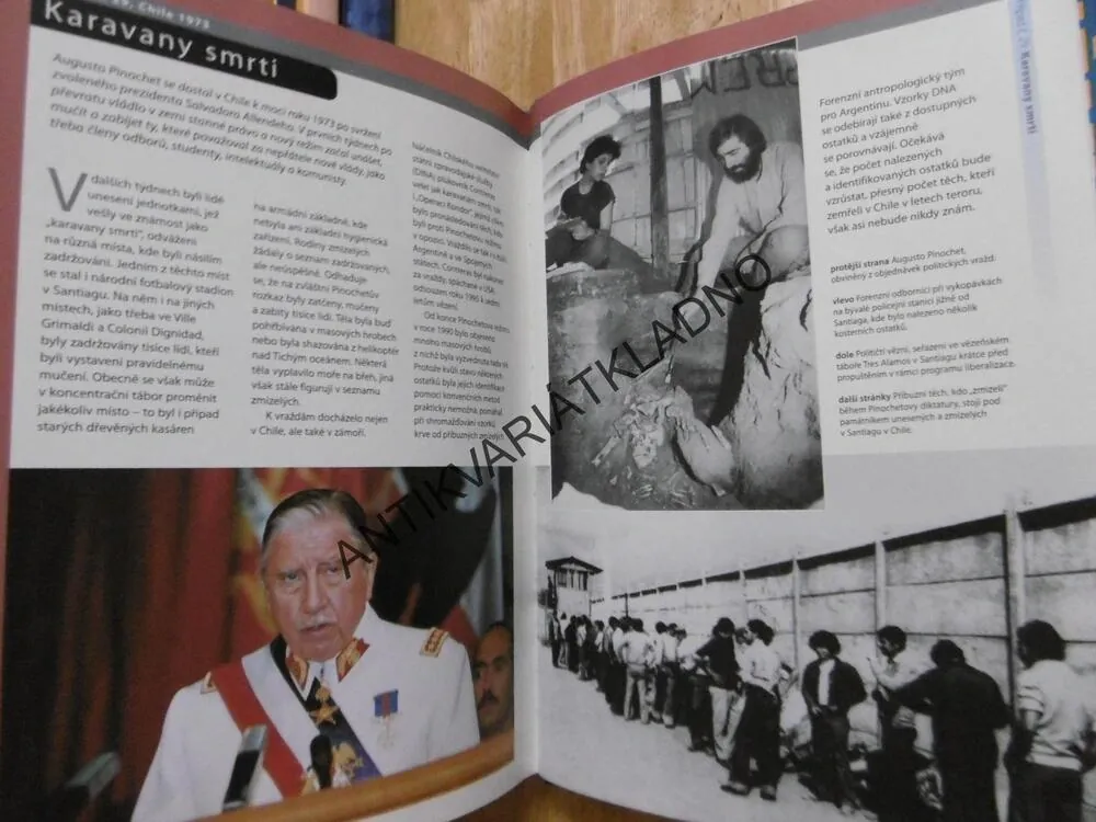 NĚMÝ SVĚDEK, VYUŽITÍ ANTROPOLOGIE PŘI ŘEŠENÍ KRIMINÁLNÍCH PŘÍPADŮ, ROXANA FERLLINI, **an