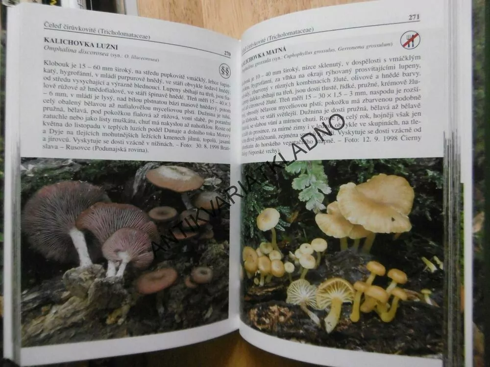 HOUBY ATLAS, LADISLAV HAGARA, MYKOLOGIE, **an