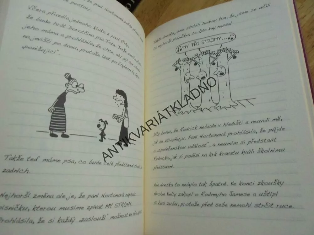 DENÍK MALÉHO POSEROUTKY, JEFF KINNEY, **an
