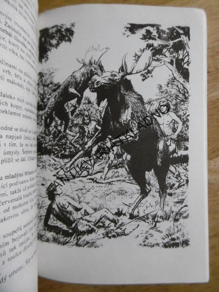MAMUTI TÁHNOU DO BAŽIN, BOHUMÍR FIALA, ZDENĚK BURIAN, 1978, **an