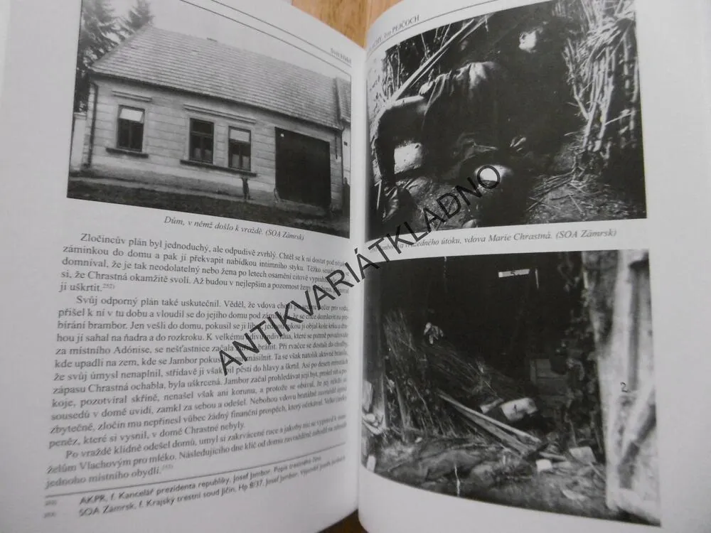 MASARYKOVI OPRÁTKY, JIŘÍ PLACHÝ, IVO PEJČOCH, **an