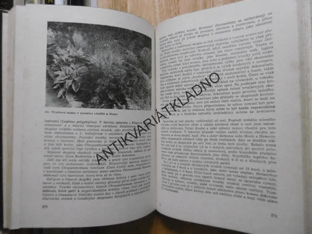 NAŠE TRVALKY,1964, KUBEČKOVÁ, **an