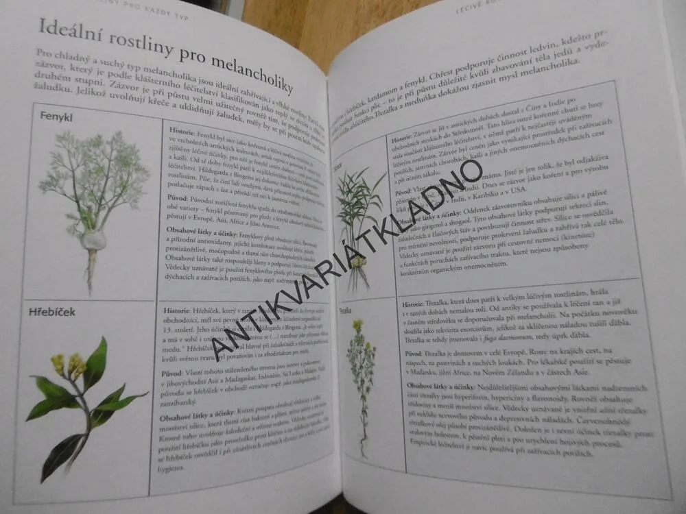ZDRAVÍ Z KLÁŠTERNÍ LÉKÁRNY, PÁTER KILIAN SAUM,**an