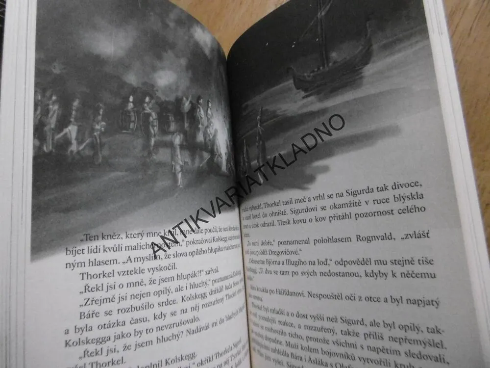 VIKINGOVÉ, ZÁHADA ROHATÝCH PŘILEB, VERONIKA VÁLKOVÁ, PETR KOPL, **an