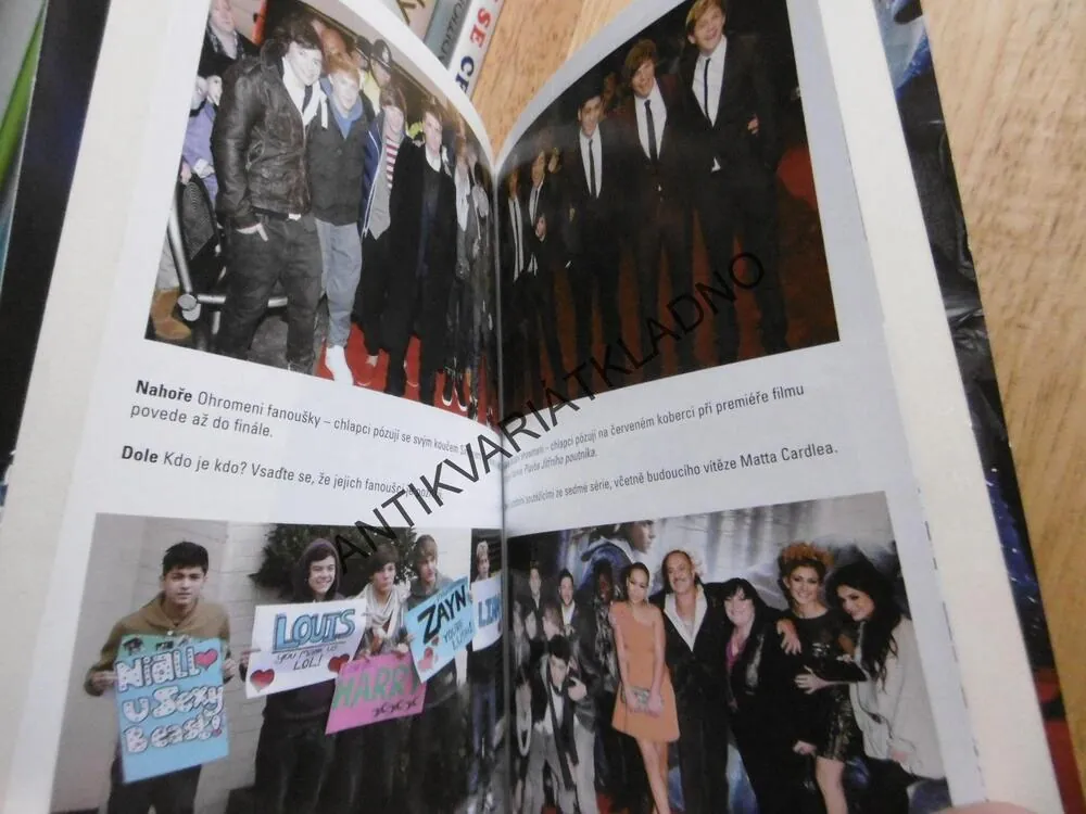 ONE DIRECTION, CESTA KE SLÁVĚ, DANNY WHITE, HUDEBNÍ SKUPINA,