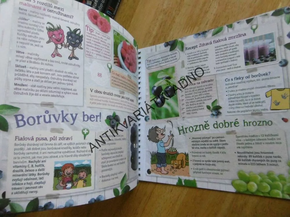 ALBERTOVA ZAHRÁDKA, SVĚT BYLINEK, **an