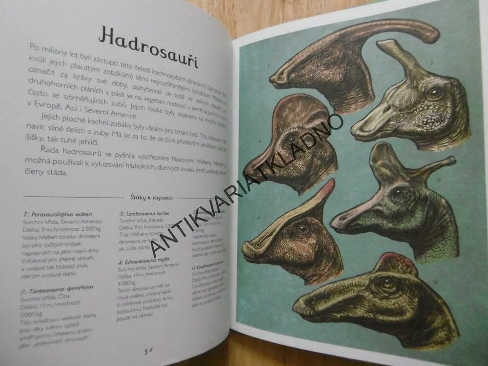DINOSAURIUM, WORMELL, MURRAYOVÁ, DINOSAURUS, **an