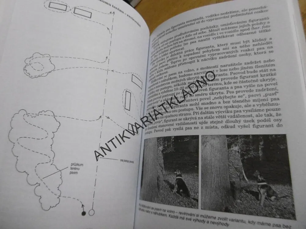 PES K OBRANĚ OSOB A OCHRANĚ MAJETKU, JOSEF RŮŽIČKA, **an