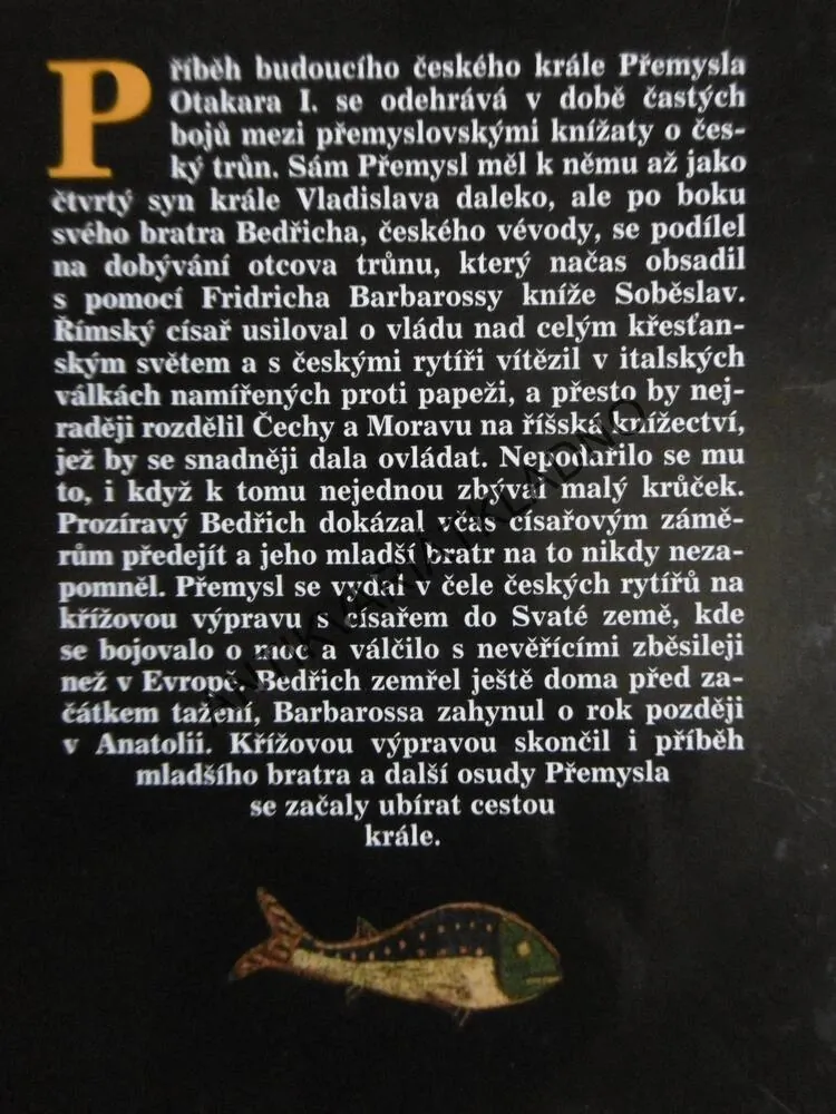 PŘÍBĚH MLADŠÍHO BRATRA, LUDMILA VAŇKOVÁ, **an