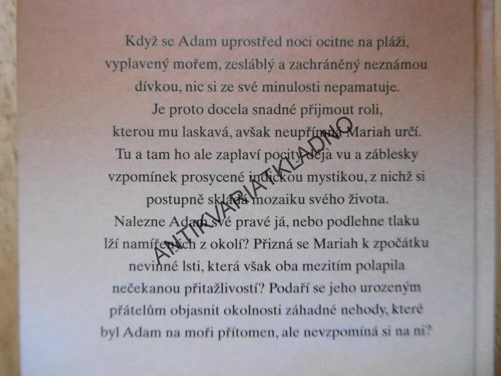 LORD V NESNÁZÍCH, MARY JO PUTNEYOVÁ, **an