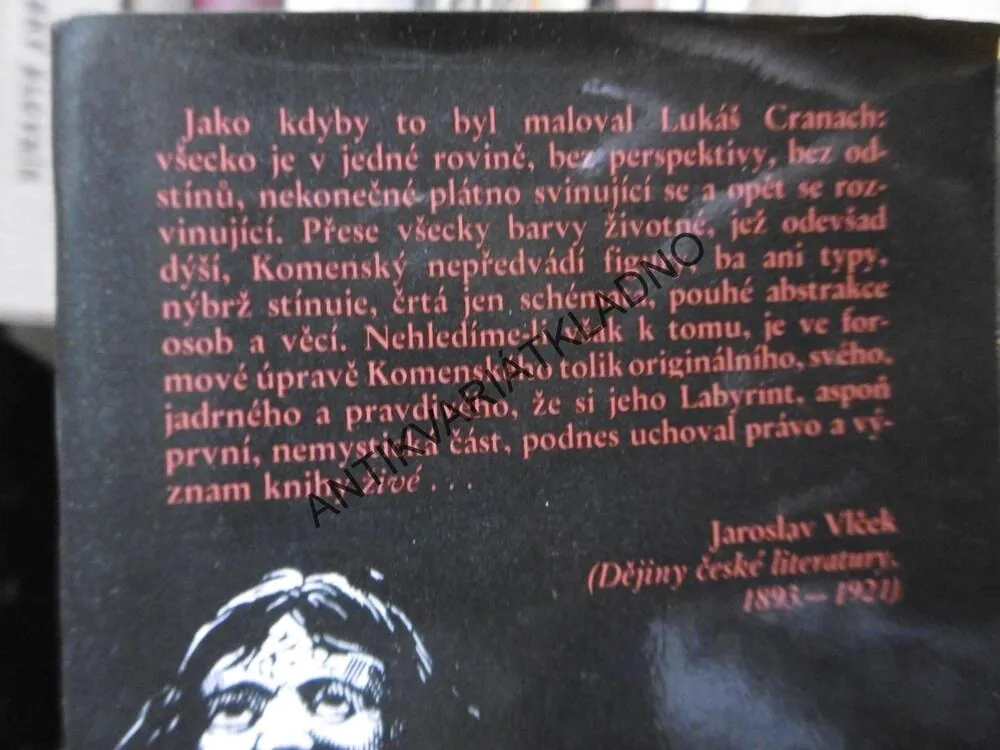 LABYRINT SVĚTA A RÁJ SRDCE, JAN ÁMOS KOMENSKÝ, **an