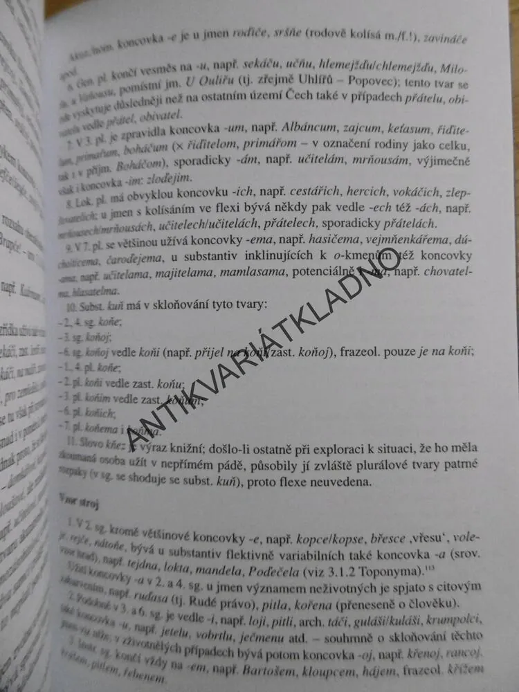 NÁŘEČÍ NA VYSOKOMÝTSKU, LUDĚK BACHMAN