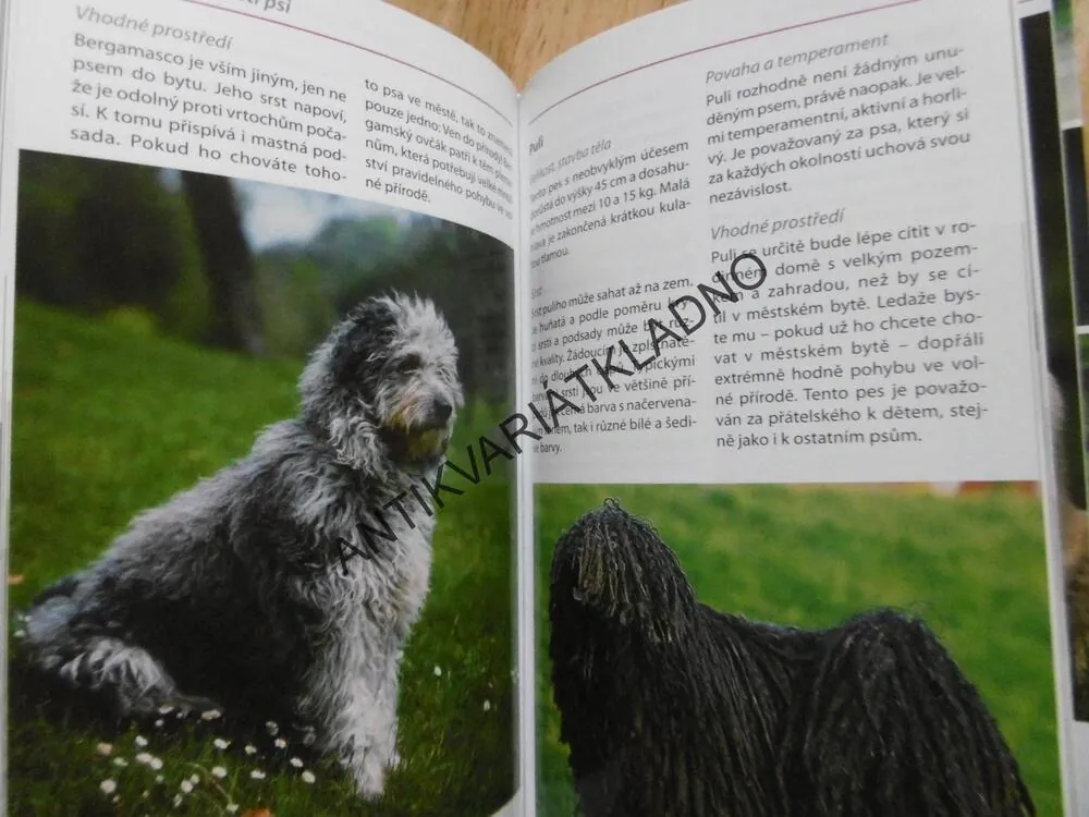 PSI, POZNÁVÁME A URČUJEME, **an