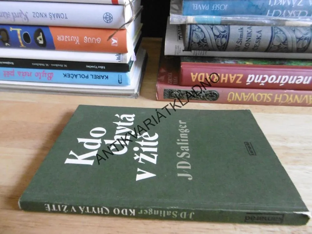 KDO CHYTÁ V ŽITĚ, J.D. SALINGER, **an