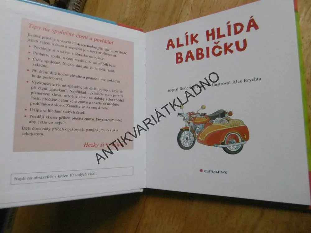 ALÍK HLÍDÁ BABIČKU, RODERICK HUNT, ALEŠ BRYCHTA, **an