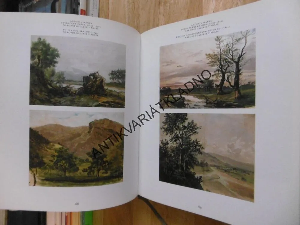 MALÍŘSKÁ RODINA MÁNESŮ, NADĚŽDA BLAŽÍČKOVÁ-HOROVÁ,JOSEF MÁNES, **an