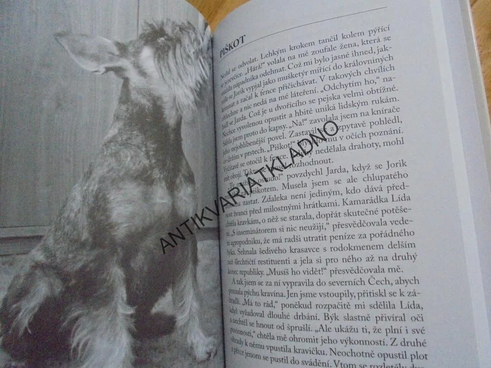 PES NA GAUČI, KNÍRAČ, M. MOUČKOVÁ,-AUTOGRAM