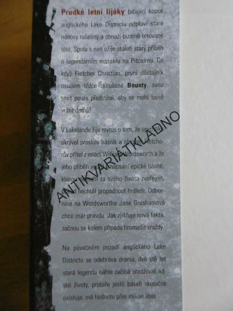 HROB TETOVANÉHO, VAL MCDERMIDOVÁ, **an