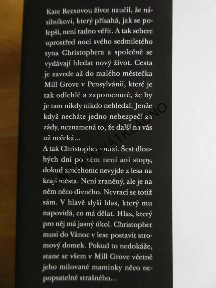 IMAGINÁRNÍ PŘÍTEL, STEPHEN CHBOSKY, **an