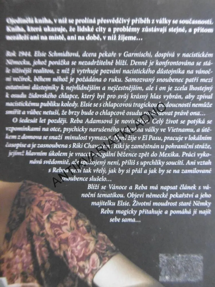 PEKAŘOVA DCERA, SARAH MCCOYOVÁ, **an