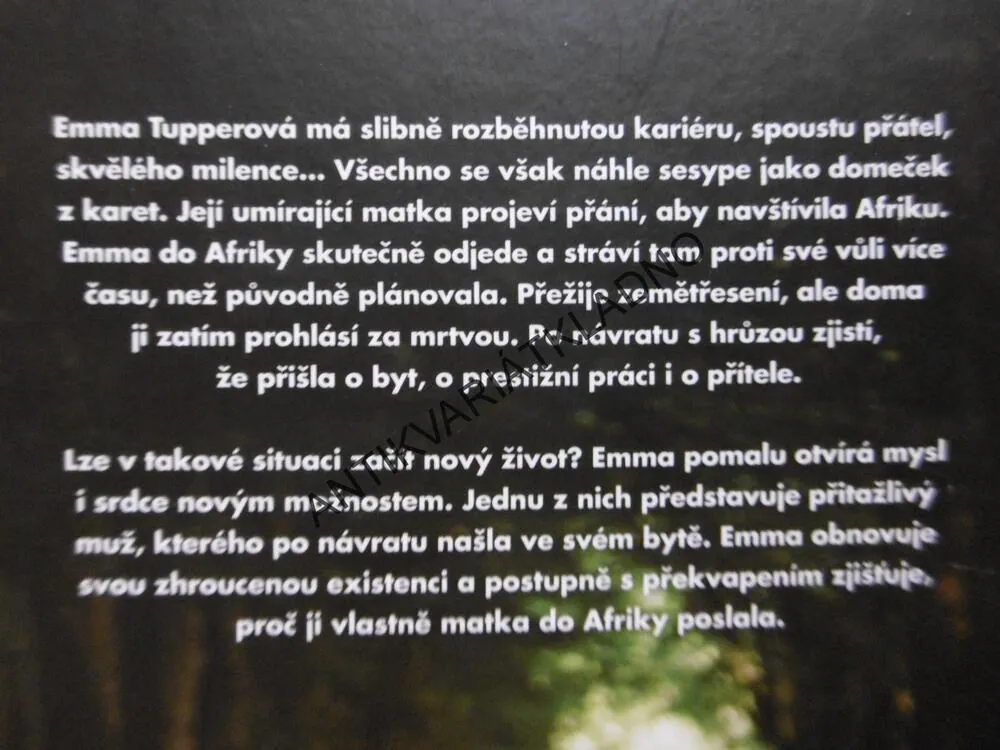 ZAPOMENUTÁ, CATHERINE MCKENZIEOVÁ, **an
