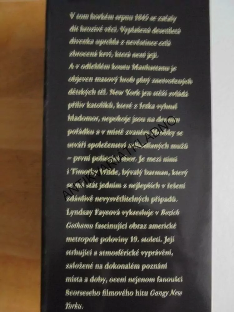 BOHOVÉ GOTHAMU, LYNDSAY FAYEOVÁ, DETEKTIVKA FLYNNOVÁ, **an