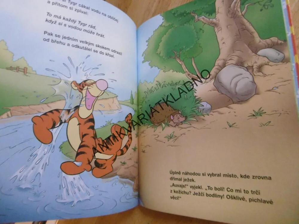 KAŽDÝ PODLE CHUTI, MEDVÍDEK PÚ, WALT DISNEY, **an