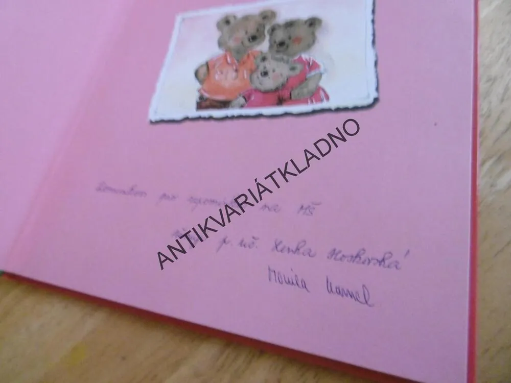 MEDVÍDCI JDOU DO ŠKOLY A JINÉ PŘÍBĚHY, **an