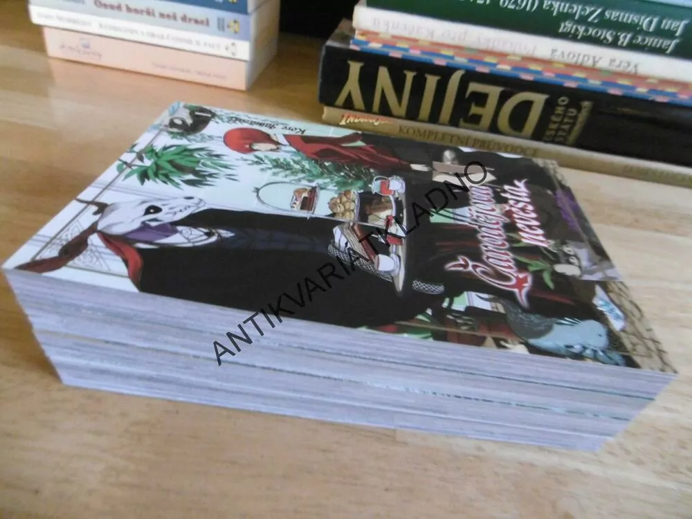 ČARODĚJOVA NEDVĚSTA, 1-4., MANGA KOMIKS, **an