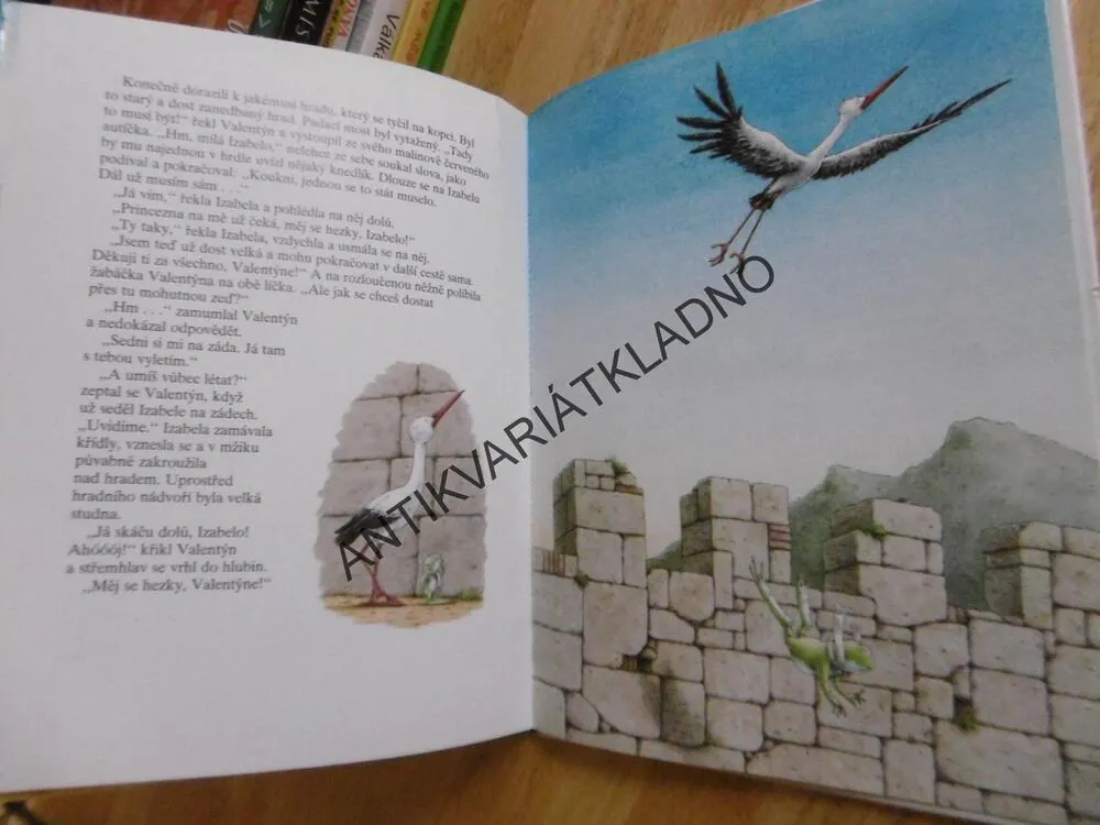 ŽABÁK VALENTÝN A MALINOVĚ ČERVENÉ AUTÍČKO,HANS DE BEER **an