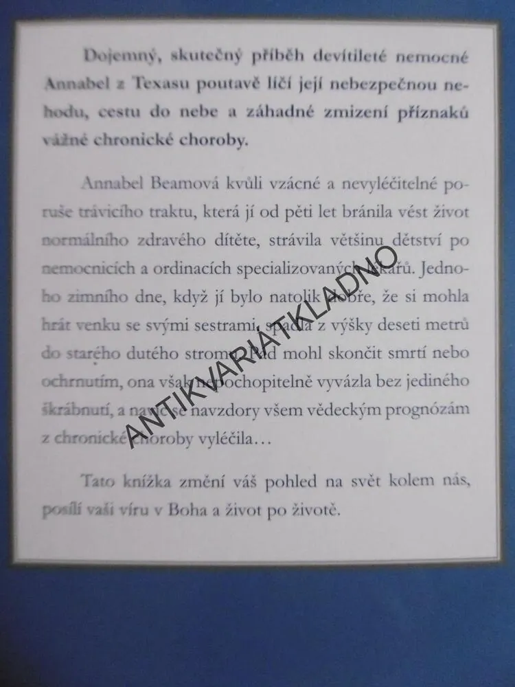 ZÁZRAKY Z NEBE, CHRISTY WILSON BEAMOVÁ, **an