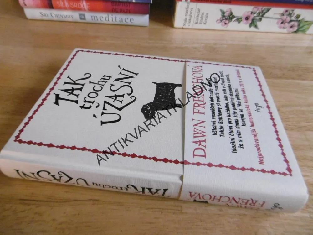 TAK TROCHU ÚŽASNÍ, DAWN FRENCHOVÁ,**an