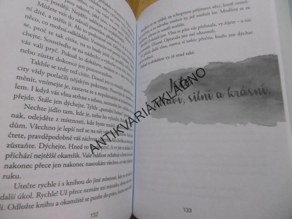 MEDITACÍ K IDEÁLNÍ VÁZE, SUSANNĚ HÜHNOVÁ, **an
