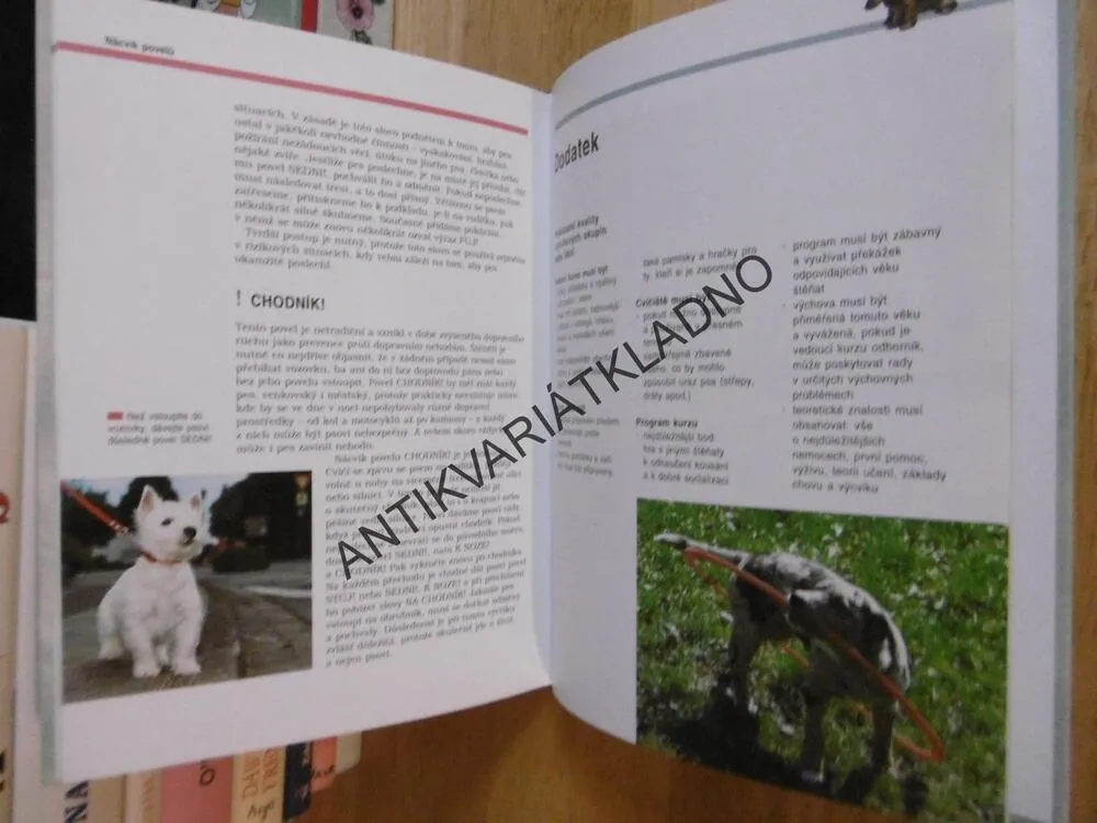 ŠKOLKA PRO ŠTĚŇATA, CELINA DEL AMO, CHOVATELSTVÍ, CHOVATEL, 