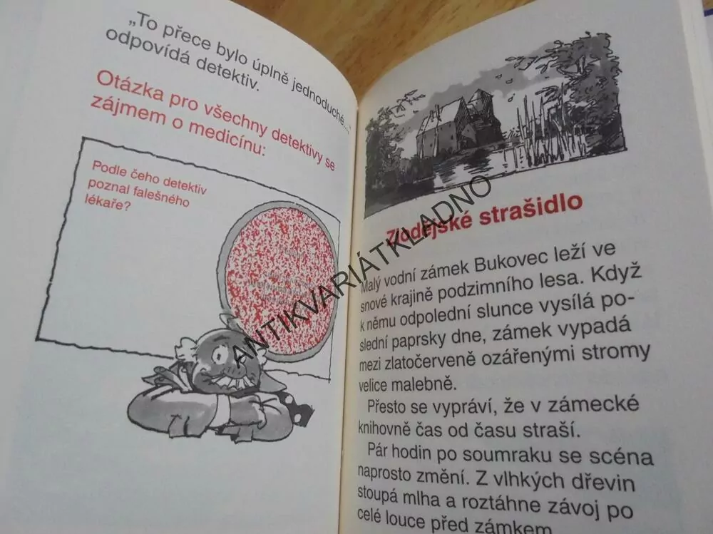 DETEKTIV KLUBKO, TAJEMSTVÍ ŽLUTÉHO KUFRU, SCHEFFLE
