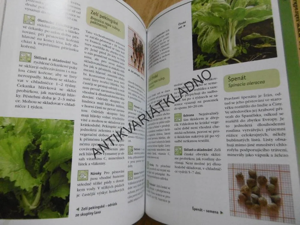 ZELENINA Z VLASTNÍ ZAHRADY, KŘESADLOVÁ, VILÍM, **an