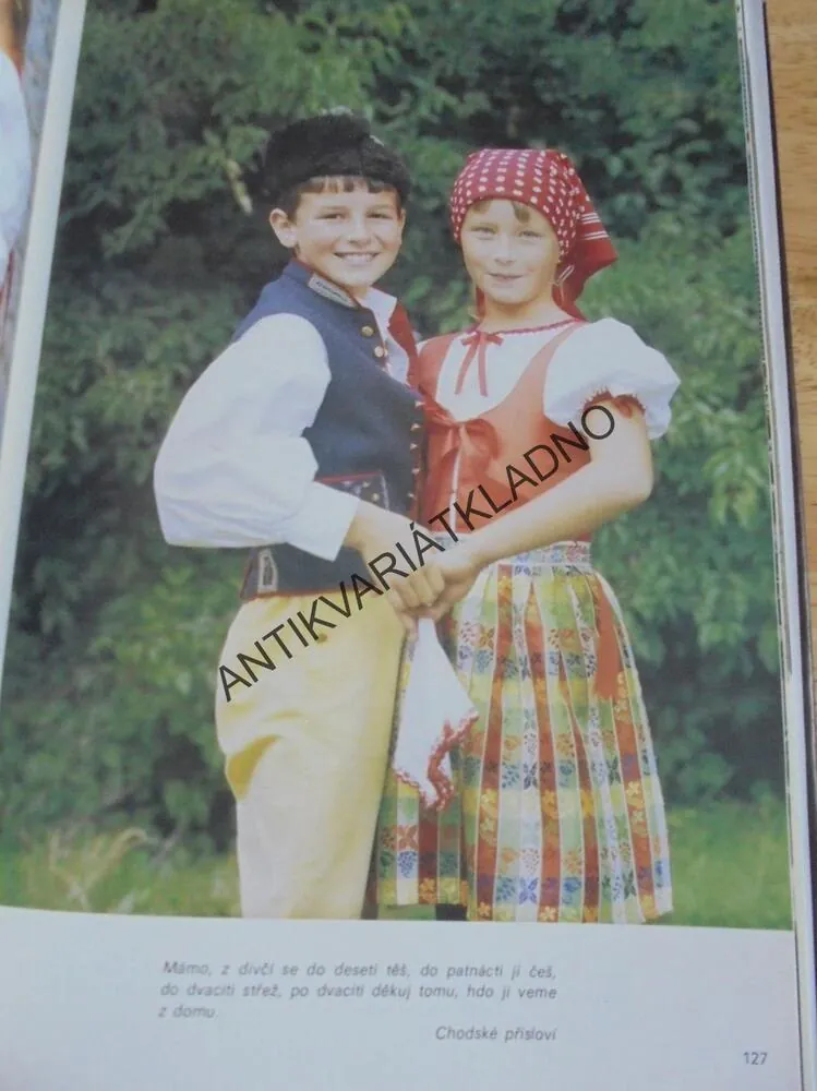 NAŠE CHODSKO, ETNOGRAFIE, MÍSTOPIS, 1990