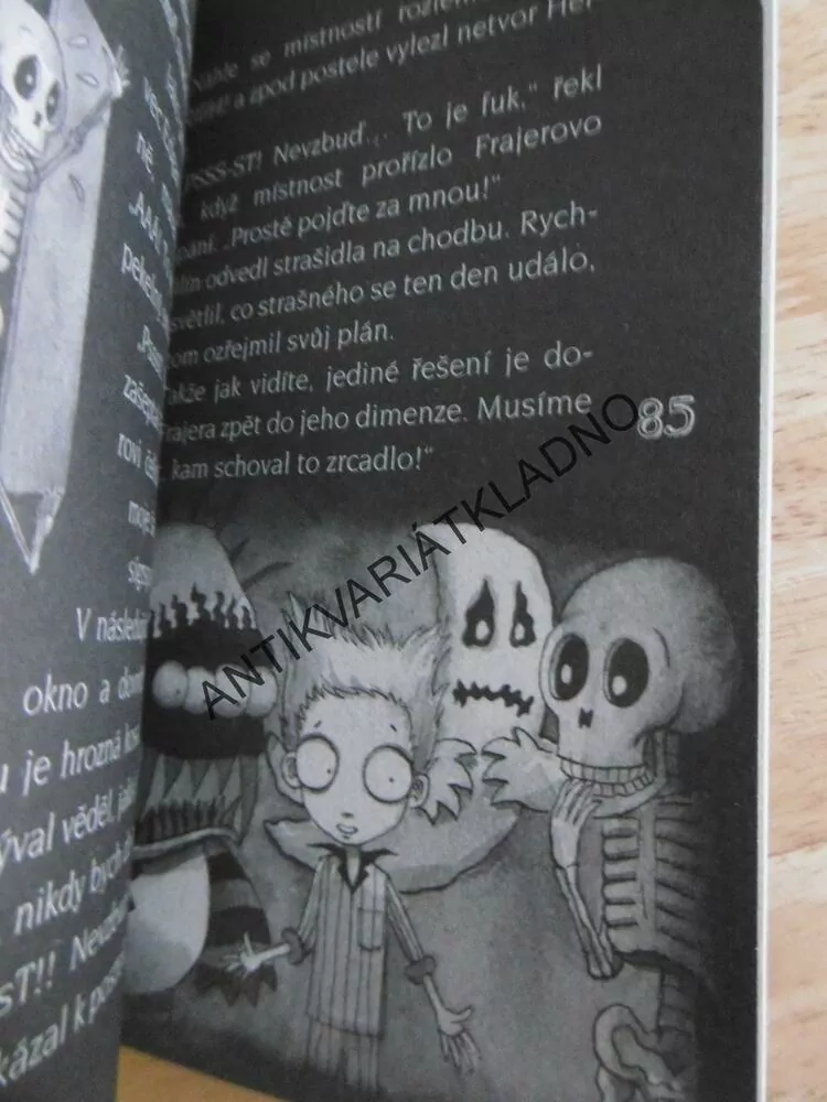 FILÍN FIDLA A DVOJNÍK Z DEVÁTÉ DIMENZE, GUY BASS, **an