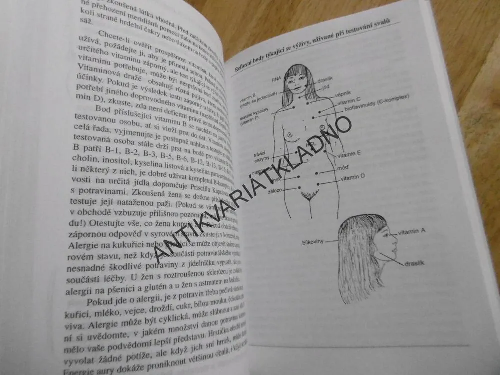 VŠECHNY ŽENY JSOU LÉČITELKY, DIANE STEIN, LÉČITELSTVÍ, **an