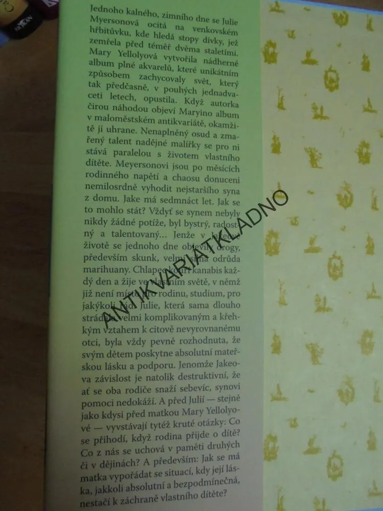 ZTRACENÉ DÍTĚ, JULIE MYERSONOVÁ, **an