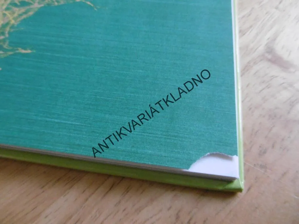 VESELÁ KNÍŽKA KŘEMÍLKA A VOCHOMŮRKY, KŘEMÍLEK,VOCHOMŮRKA,ČTVRTEK,SMETANA, VEČERNÍČEK, **an