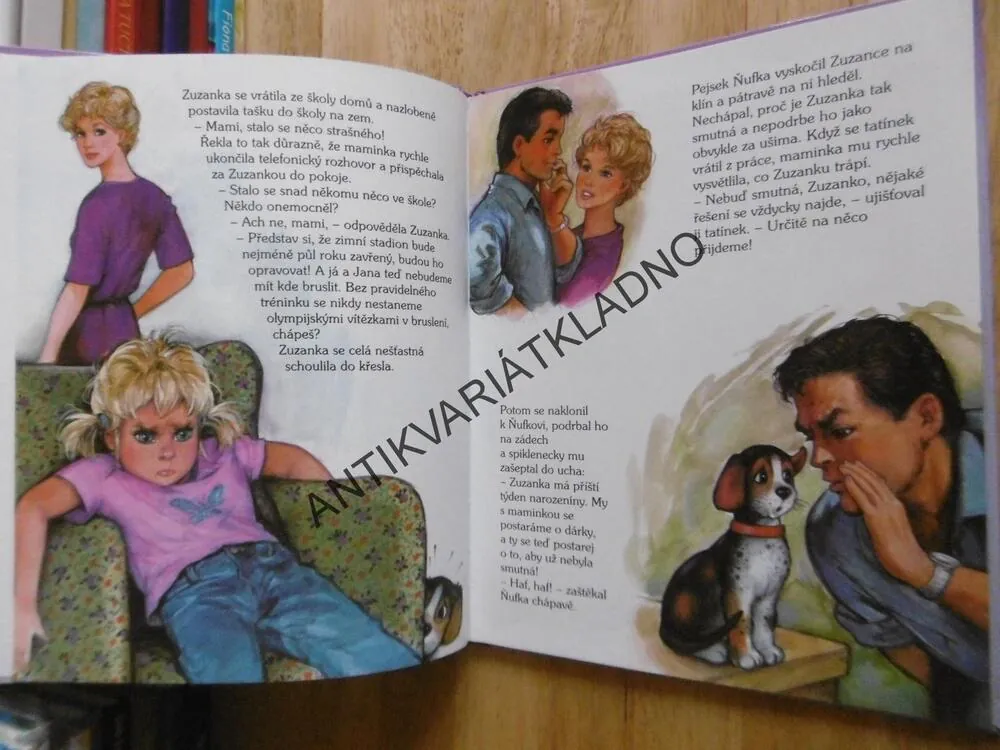 ZUZANKA NA KOLEČKOVÝCH BRUSLÍCH, **an