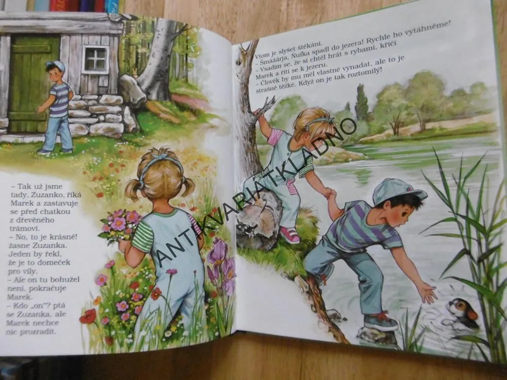 ZUZANKA NA BŘEHU JEZERA, **an