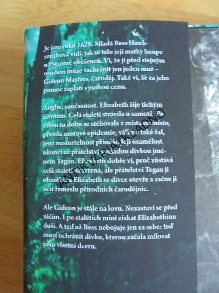 DCERA ČARODĚJNICE, PAULA BRACKSTON,