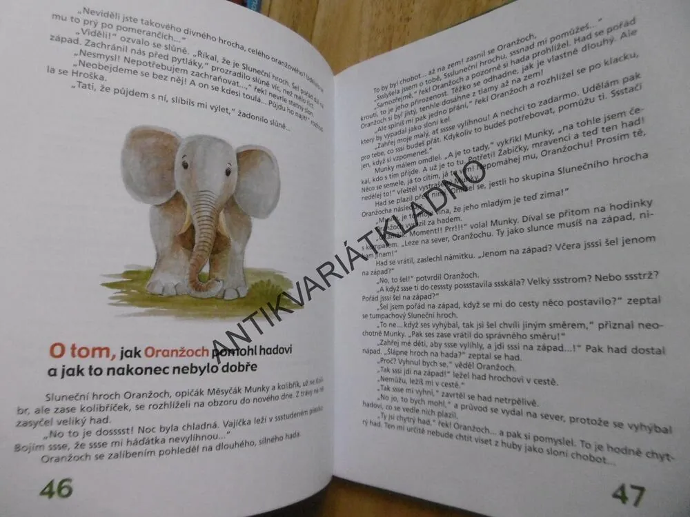 SLUNEČNÍ HROCH ORANŽOCH, MIROSLAV ADAMEC, **an