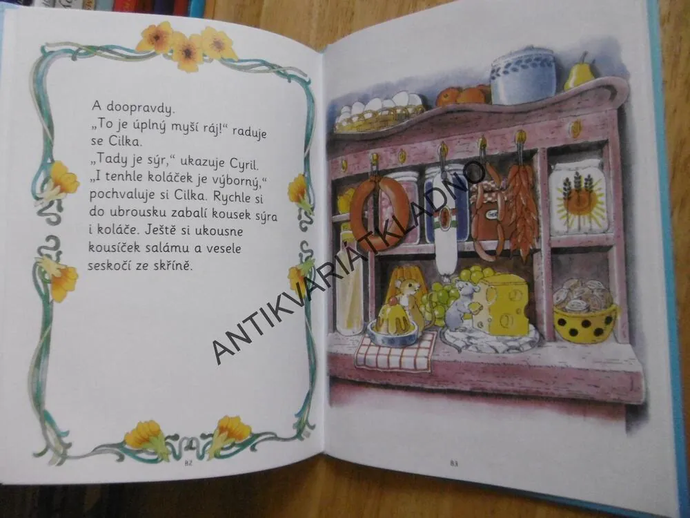 MLÁĎÁTKA NA POLI A V LESE, ANNE SUESS,