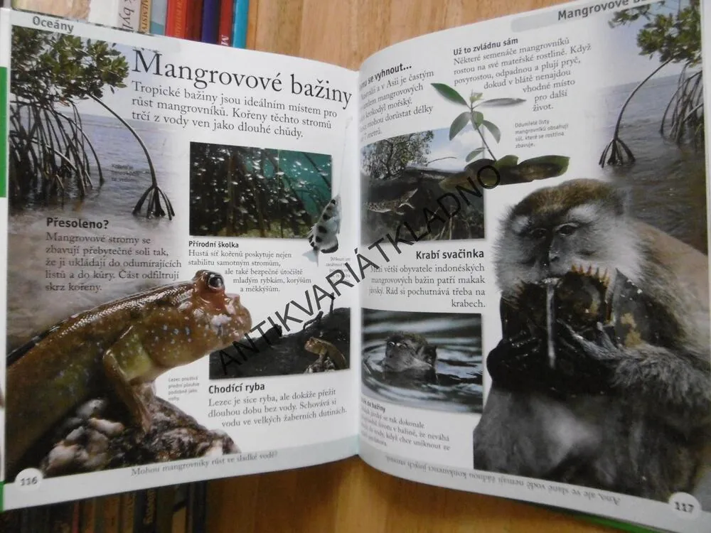 PRVNÍ ENCYKLOPEDIE PŘÍRODY, PŘÍRUČKA PRO NEJMENŠÍ ČTENÁŘE A SPISOVATELE, **an