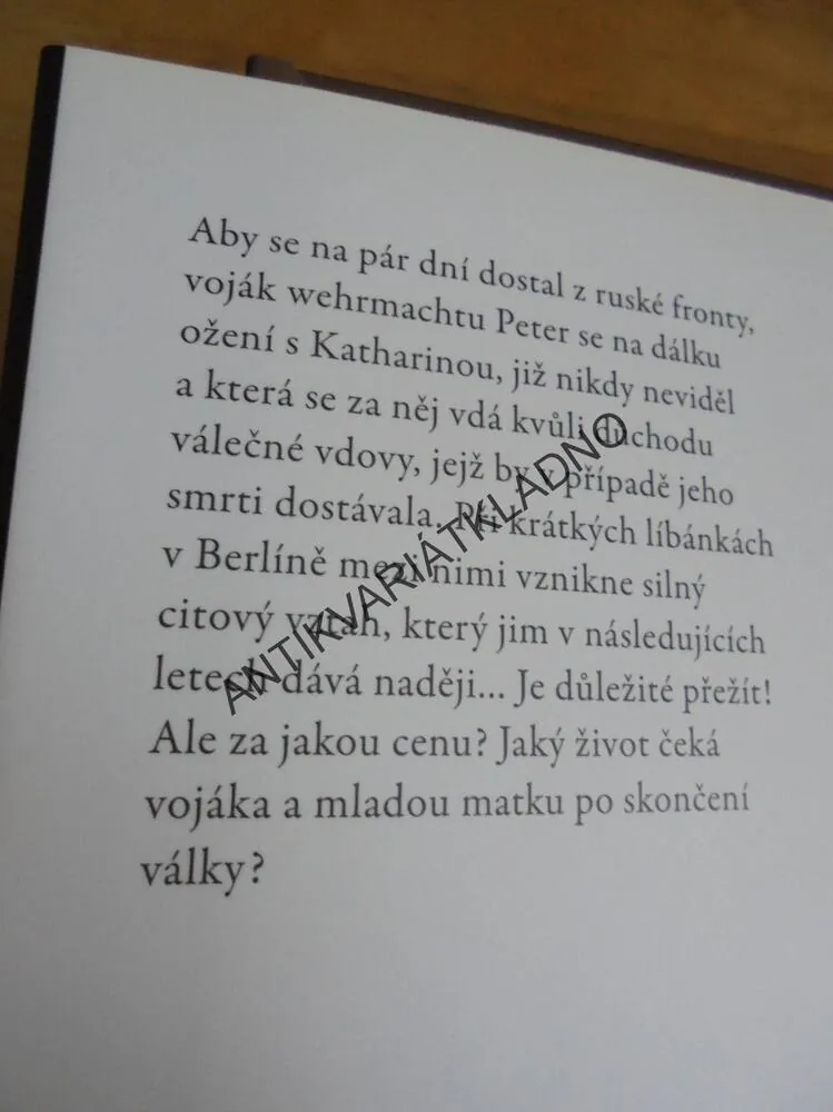 SLIB, INTIMNÍ PŘÍBĚH Z VÁLKY, AUDREY MAGEEOVÁ,