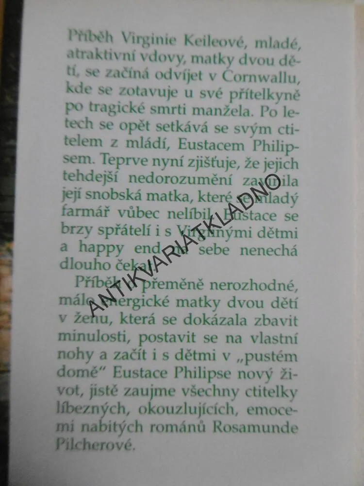 PUSTÝ DŮM, ROSAMUNDE PILCHEROVÁ, **an